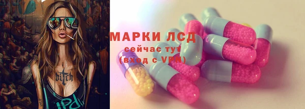 прущие грибы Балабаново