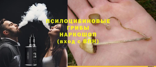 прущие грибы Балабаново