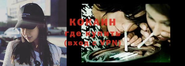 прущие грибы Балабаново