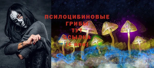 дурь Балахна