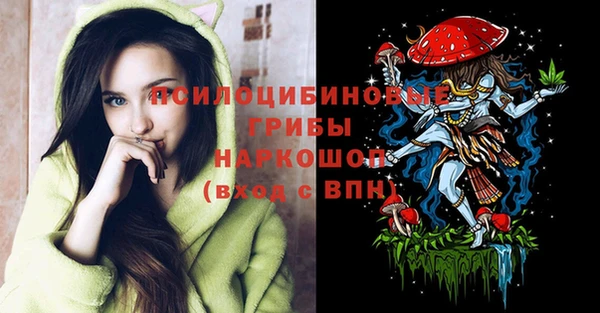 прущие грибы Балабаново