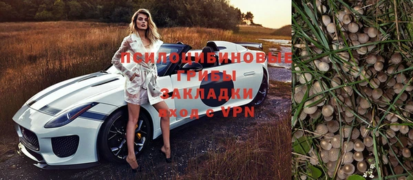 ПСИЛОЦИБИНОВЫЕ ГРИБЫ Баксан